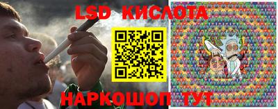 круглые Камышлов