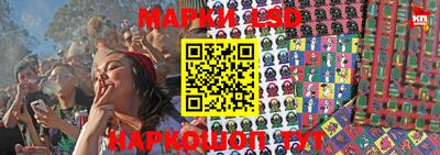 mdpv Кандалакша
