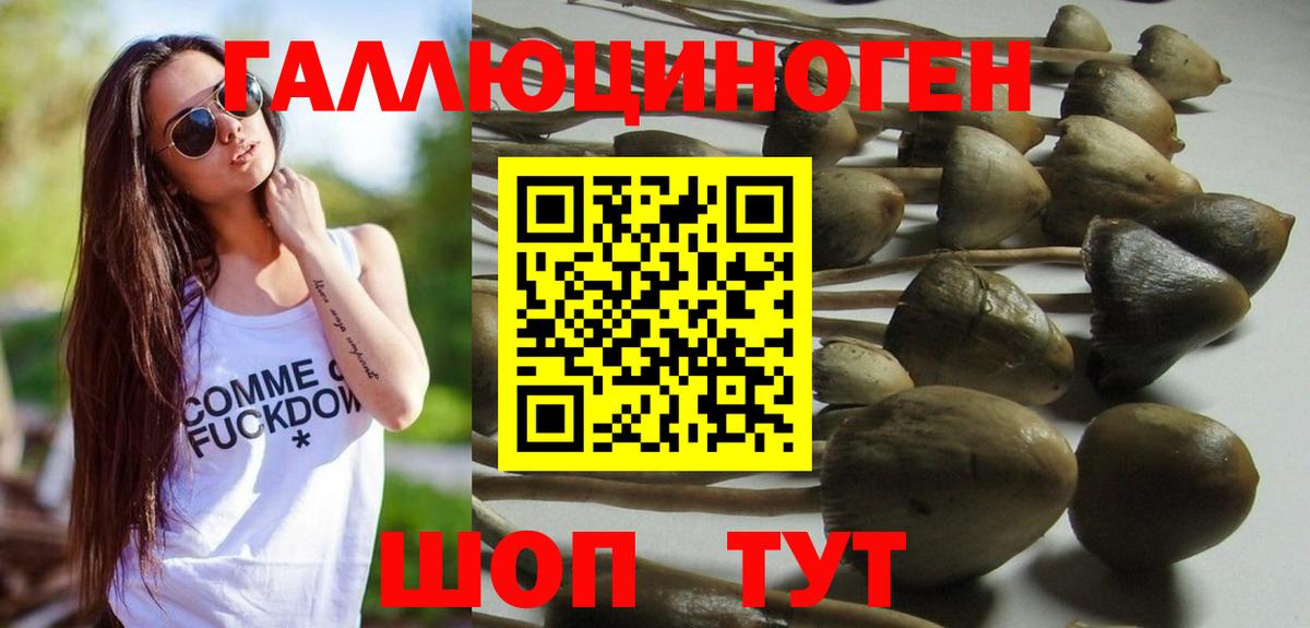 Галлюциногенные грибы Magic Shrooms Чистополь