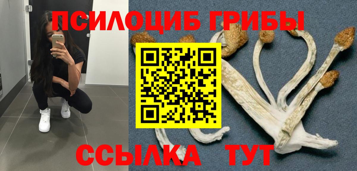 Чистополь  Галлюциногенные грибы Psilocybine cubensis  Вход с VPN 